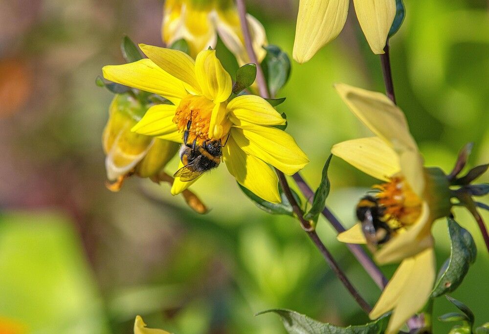 Photograph by Алексей Сиваков