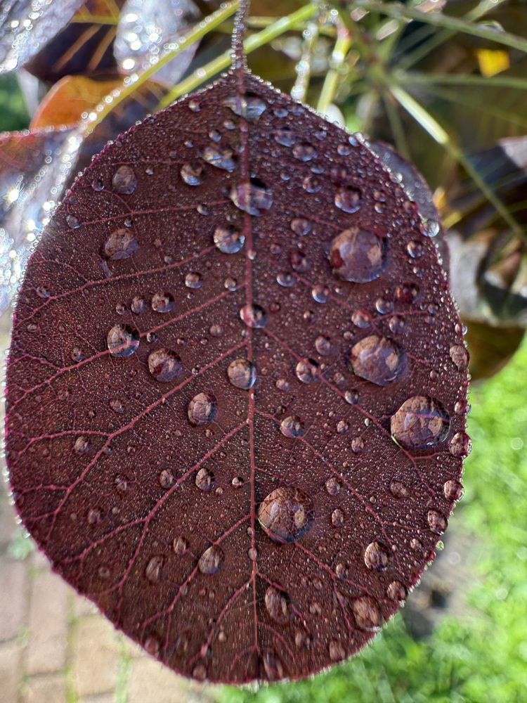 Photograph by Анастасия Германова