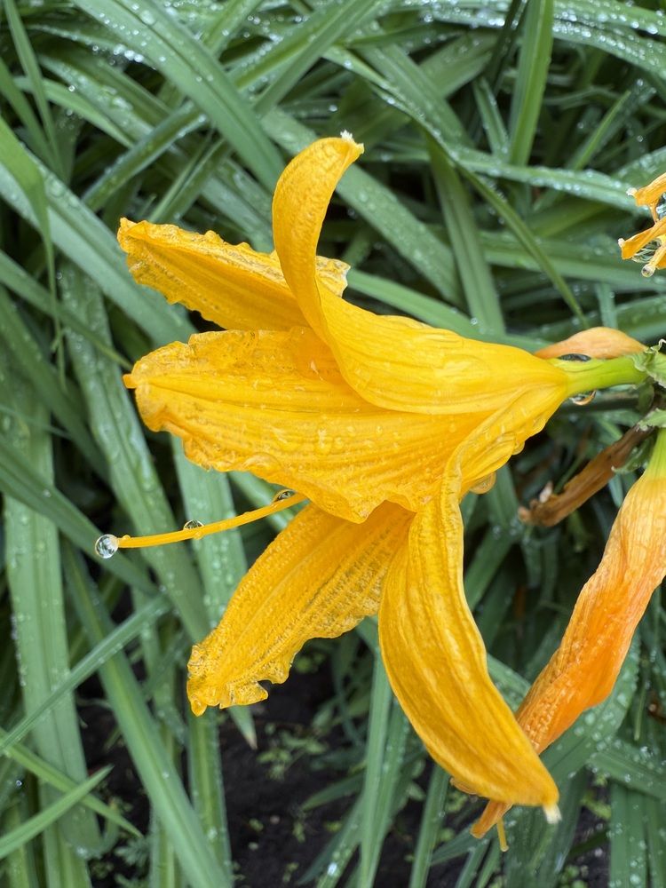 Photograph by Анастасия Германова