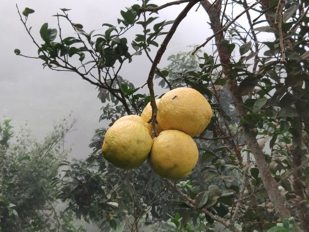 Photograph by Marzio Fattorini