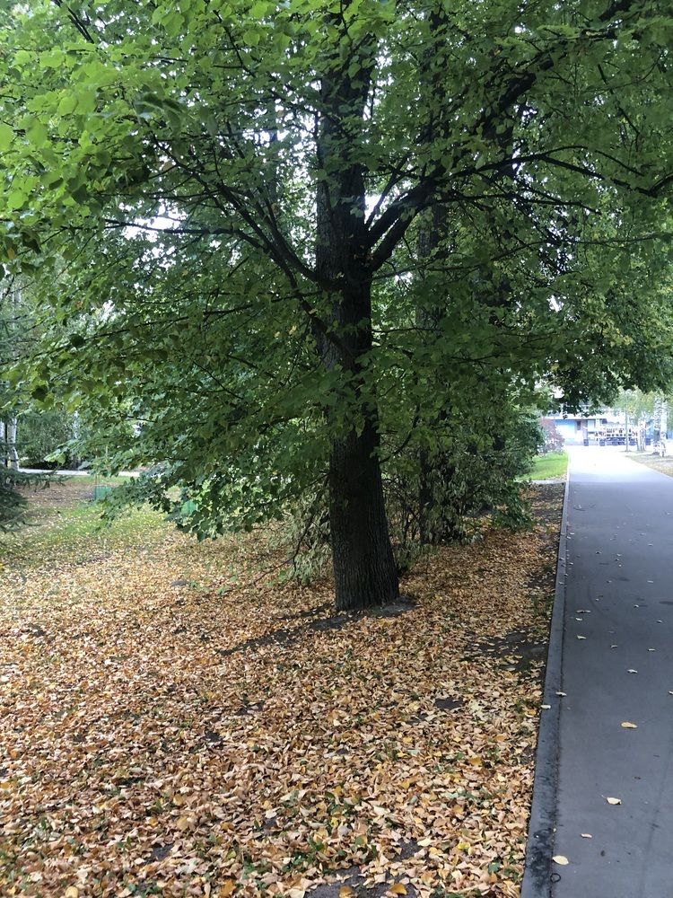 Photograph by Олеся Семёнова