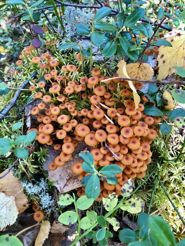 Photograph by Олеся Семёнова