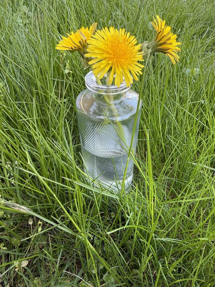 Photograph by Анастасия Германова