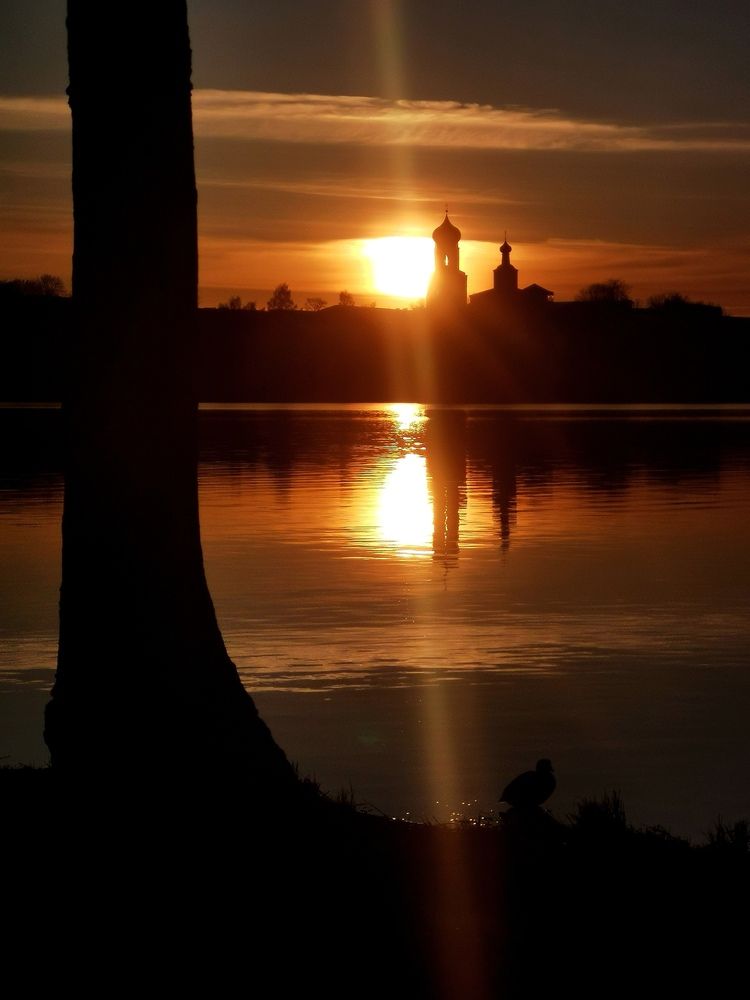 Фотография автора Ольга