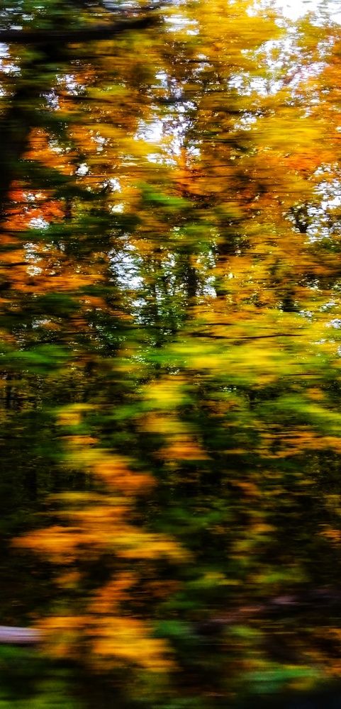 Photograph by Владислав Афанасьев