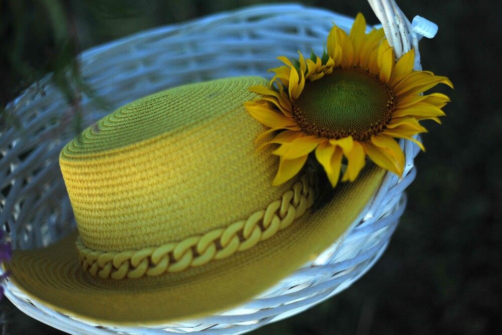 Фотография автора Ольга Пушленкова