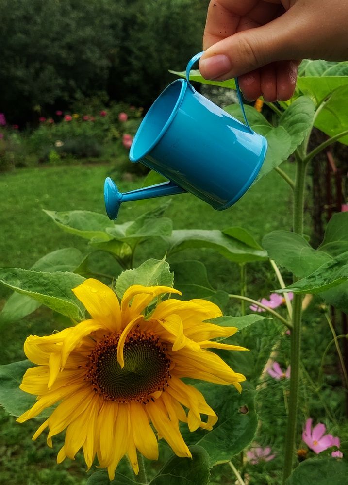 Photograph by Екатерина Баклыкова