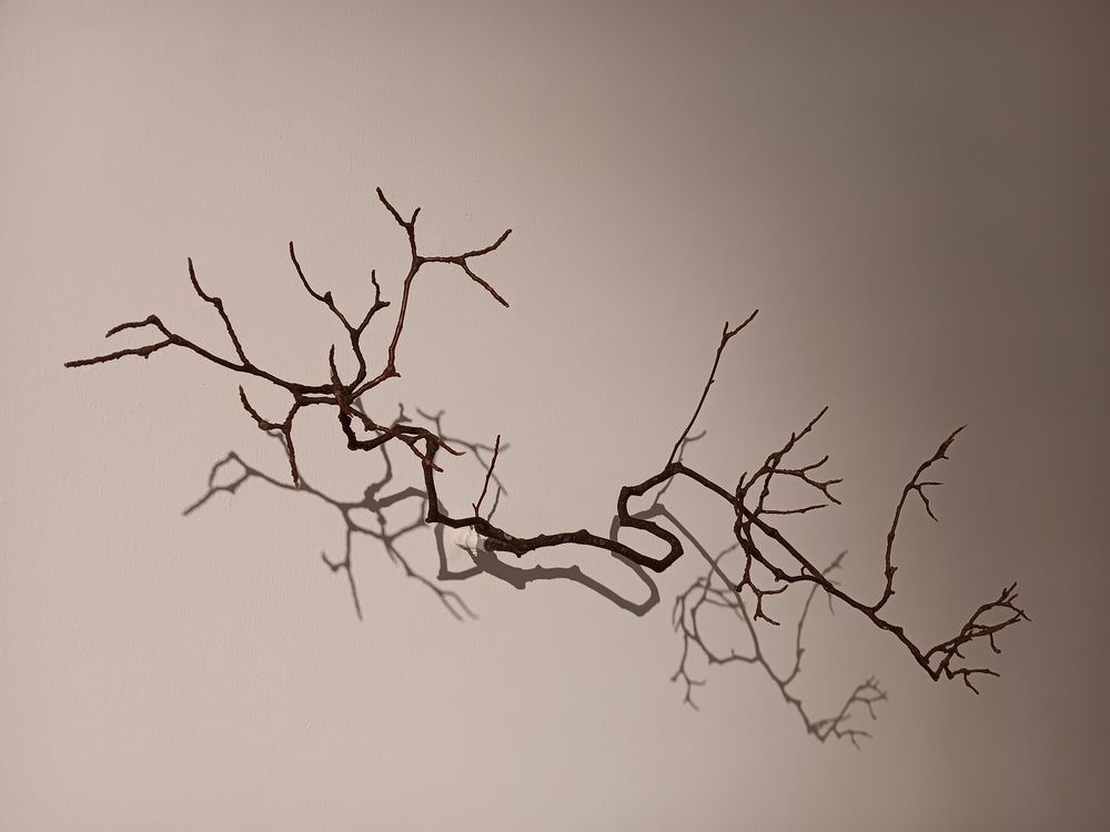 Photograph by Marzio Fattorini