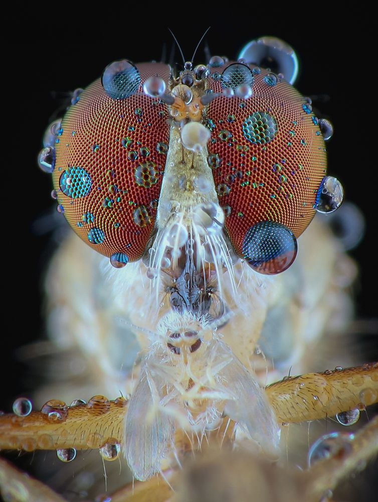 eating while bathing