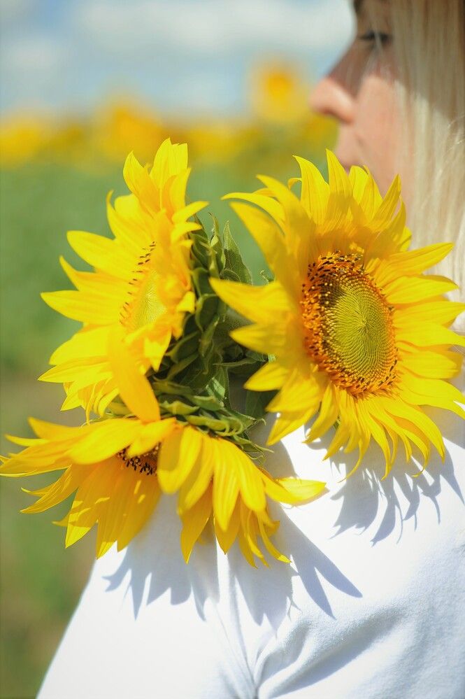 Фотография автора Ольга Пушленкова