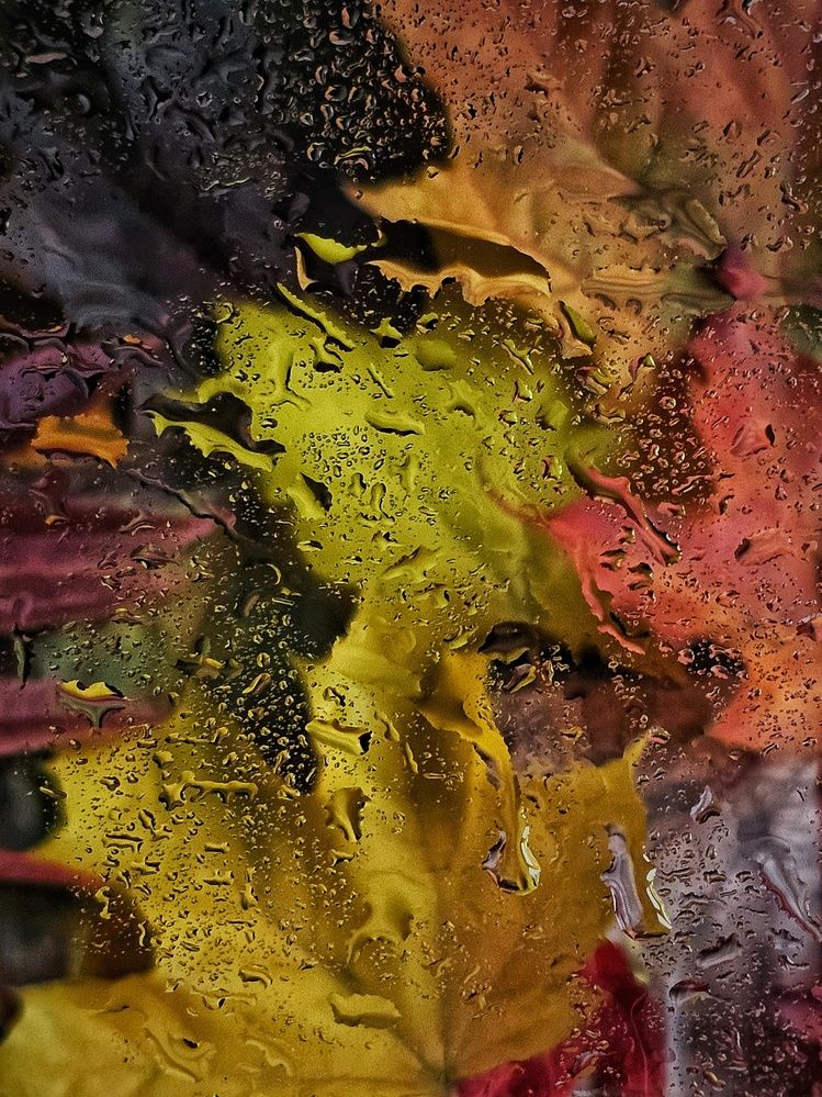 Photograph by Ольга Захарикова