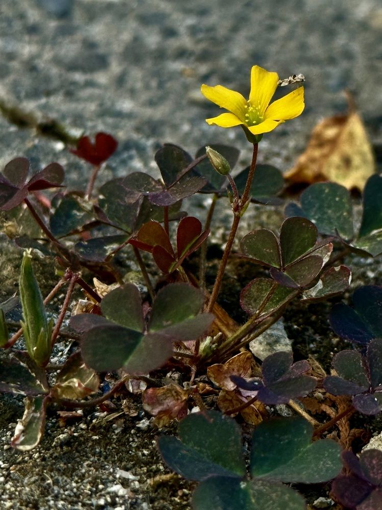 Photograph by Виктория Проданова