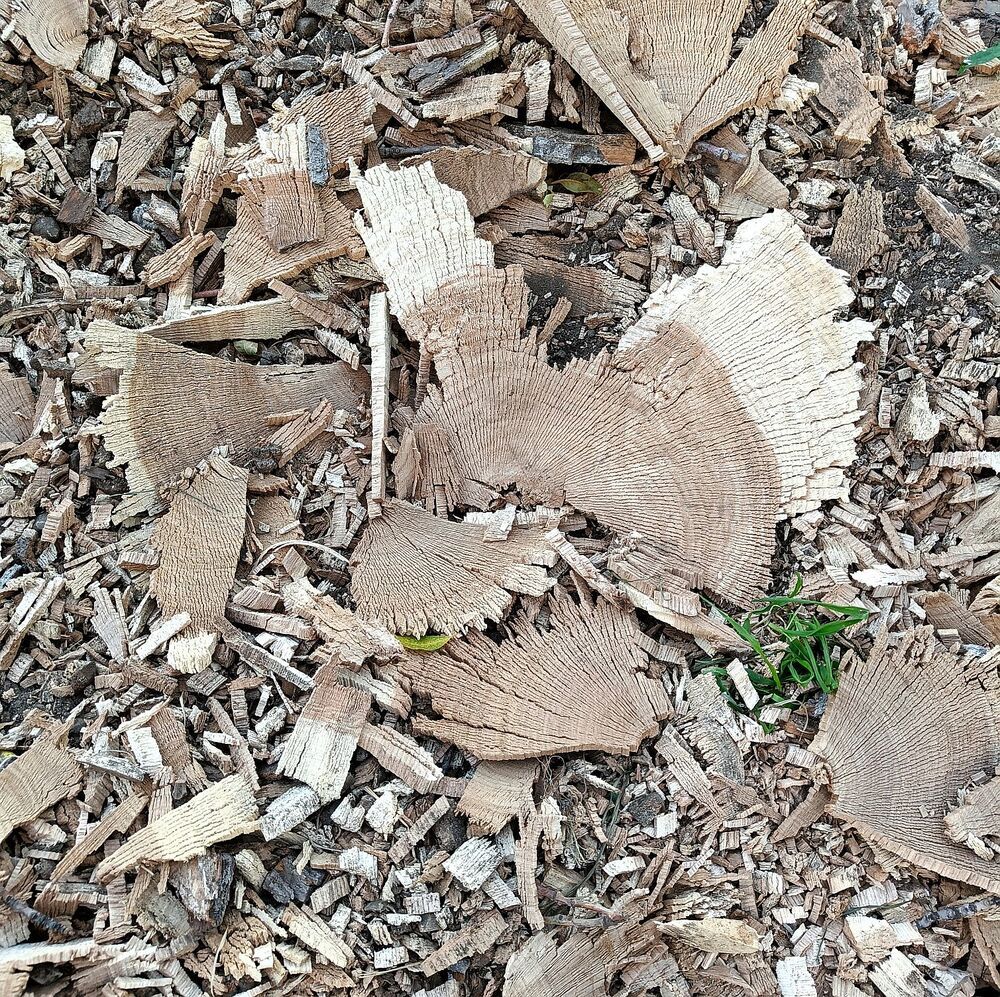 Photograph by Юрий Варюхин