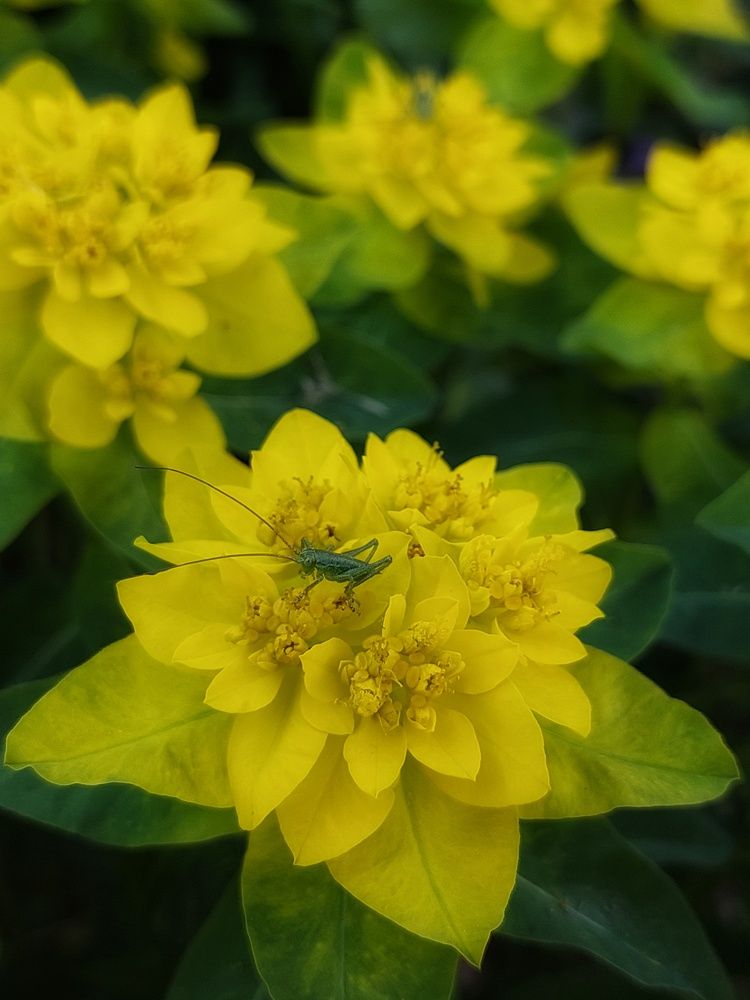 Photograph by Екатерина Баклыкова