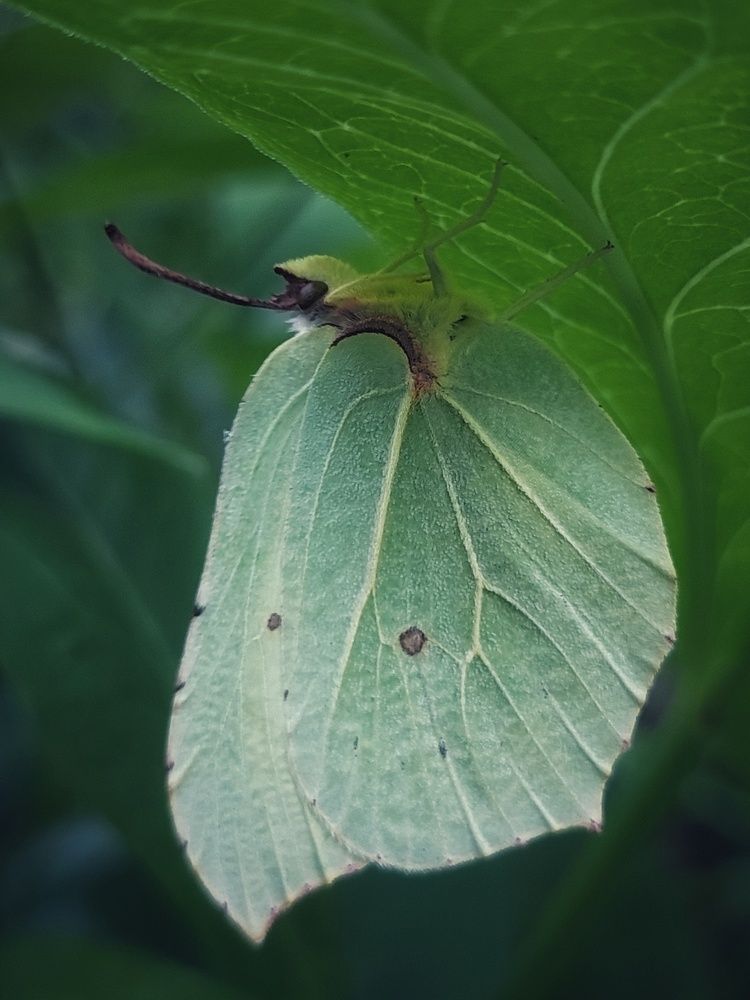Photograph by Екатерина Баклыкова