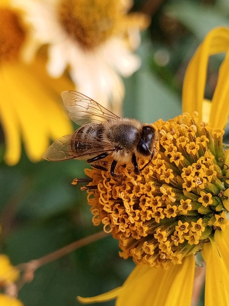 Photograph by Мариана Николаев