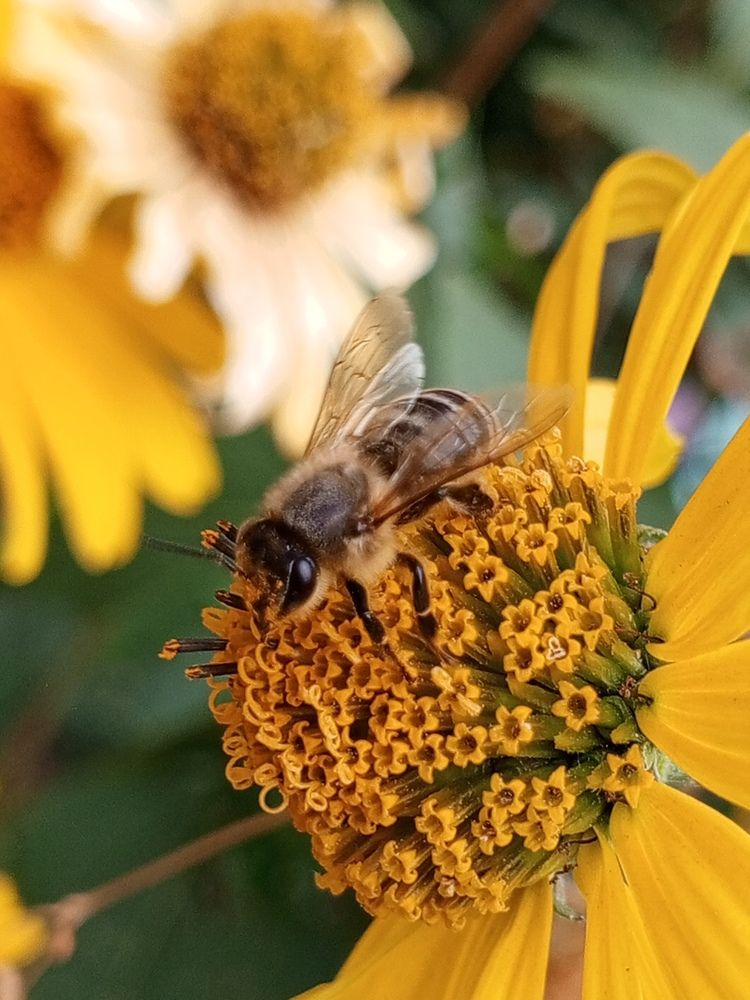 Photograph by Мариана Николаев
