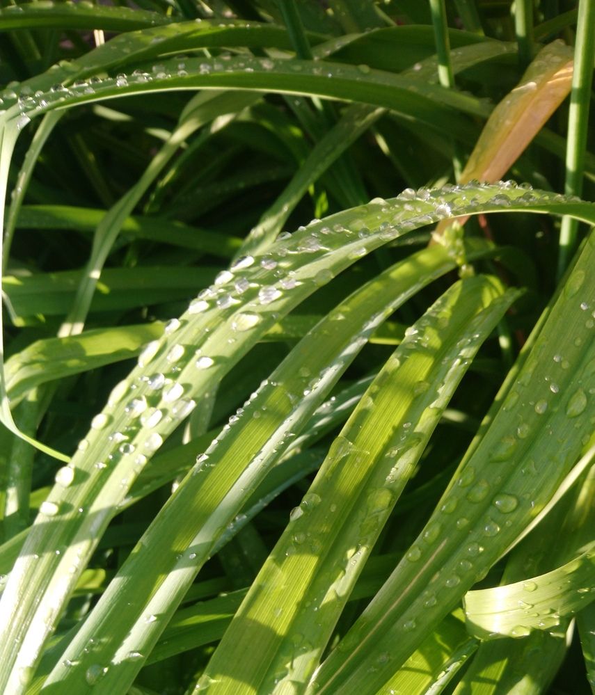 Photograph by Михаил Сербаев