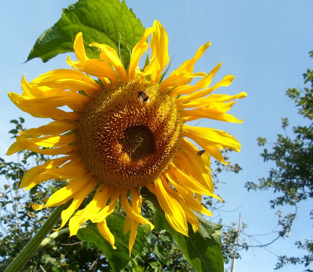 Photograph by Михаил Сербаев