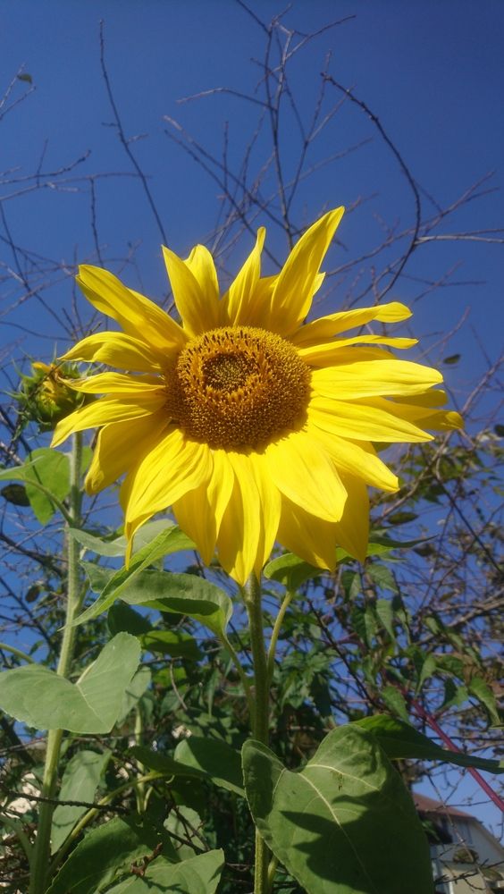 Photograph by Михаил Сербаев