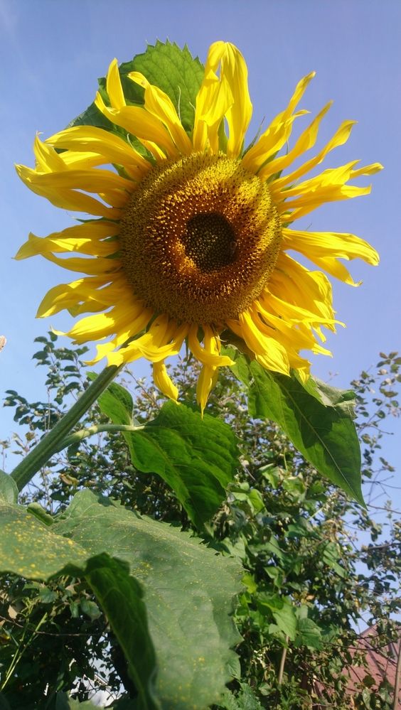 Photograph by Михаил Сербаев