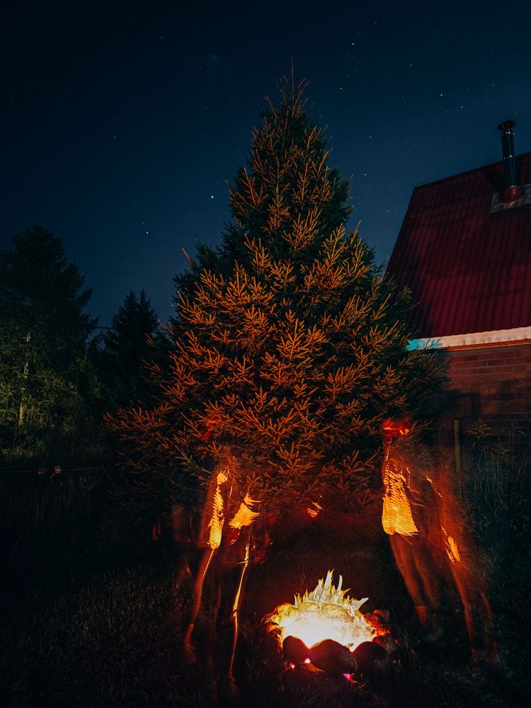 Photograph by Елена Михалева