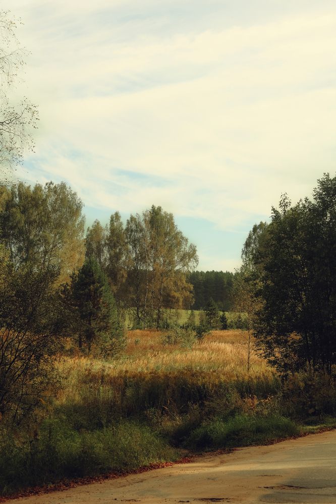 Photograph by Elya Krop