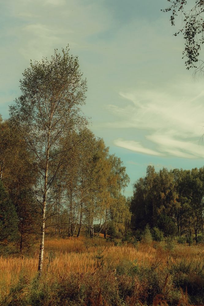 Photograph by Elya Krop