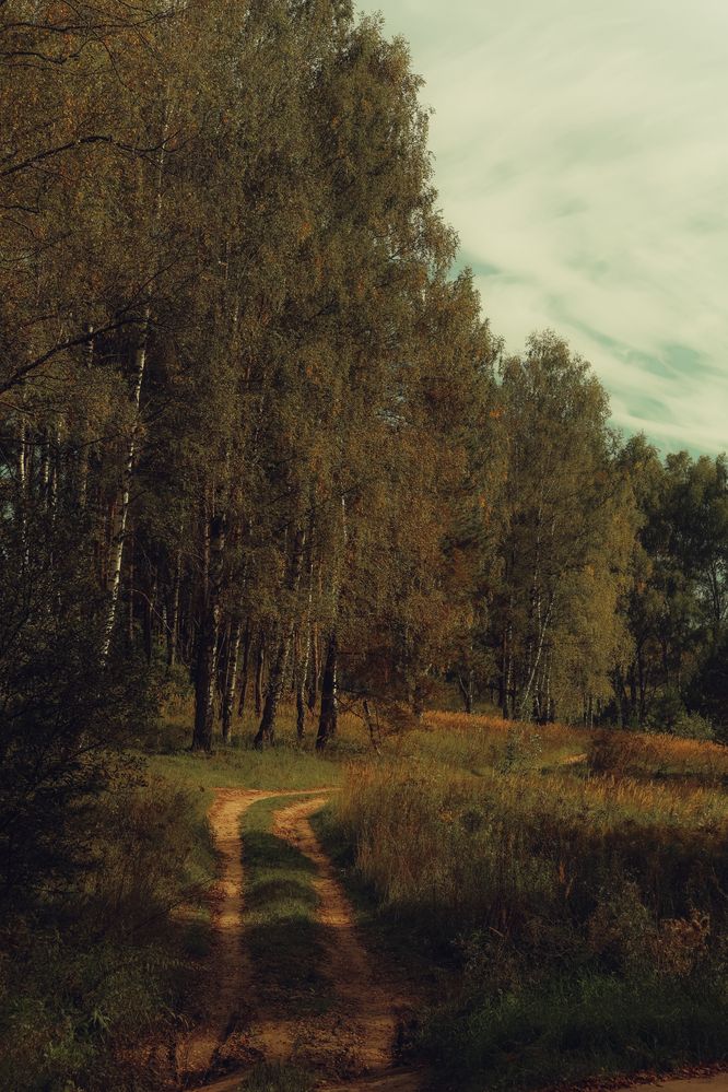 Photograph by Elya Krop