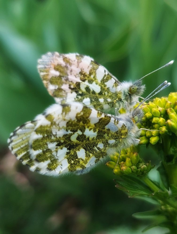Photograph by Екатерина Баклыкова