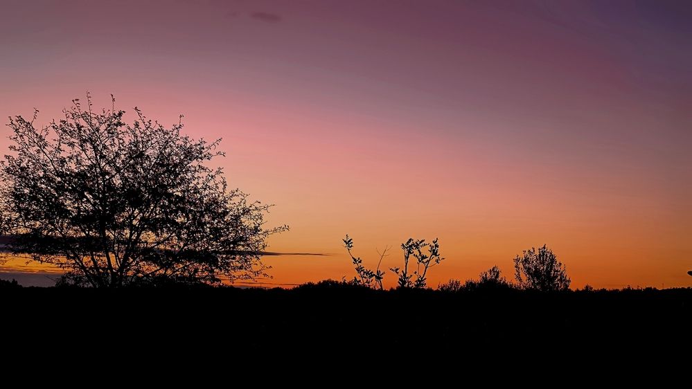 Photograph by Photographitta