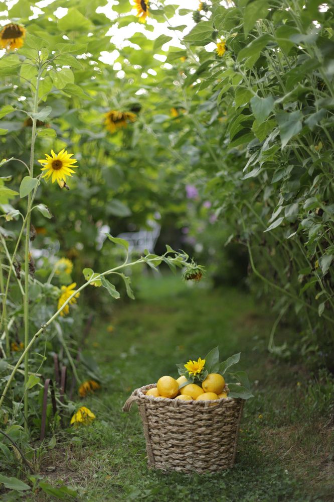 Photograph by Дарья