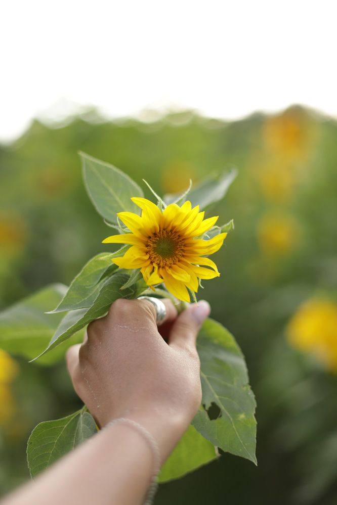 Photograph by Дарья