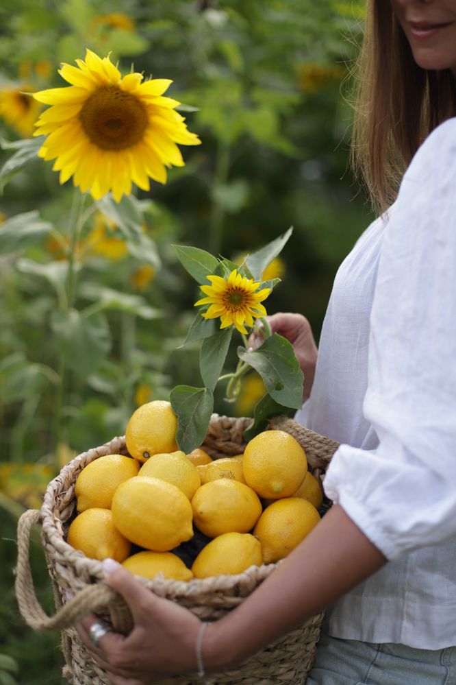 Photograph by Дарья