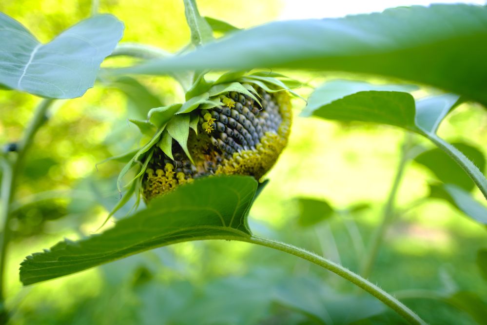 Photograph by Елена Барышева