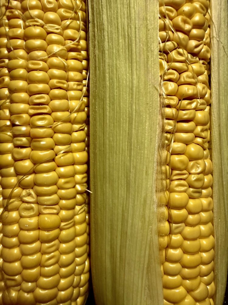 Photograph by Елена Чулюнина