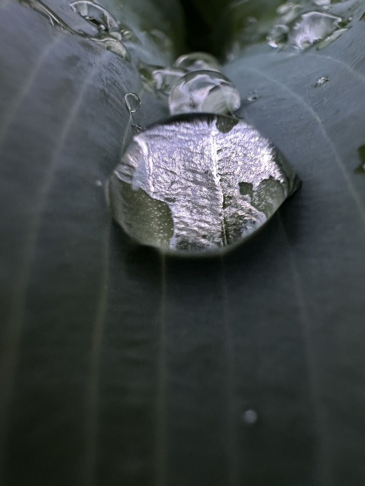 Photograph by Tatyana Boeva