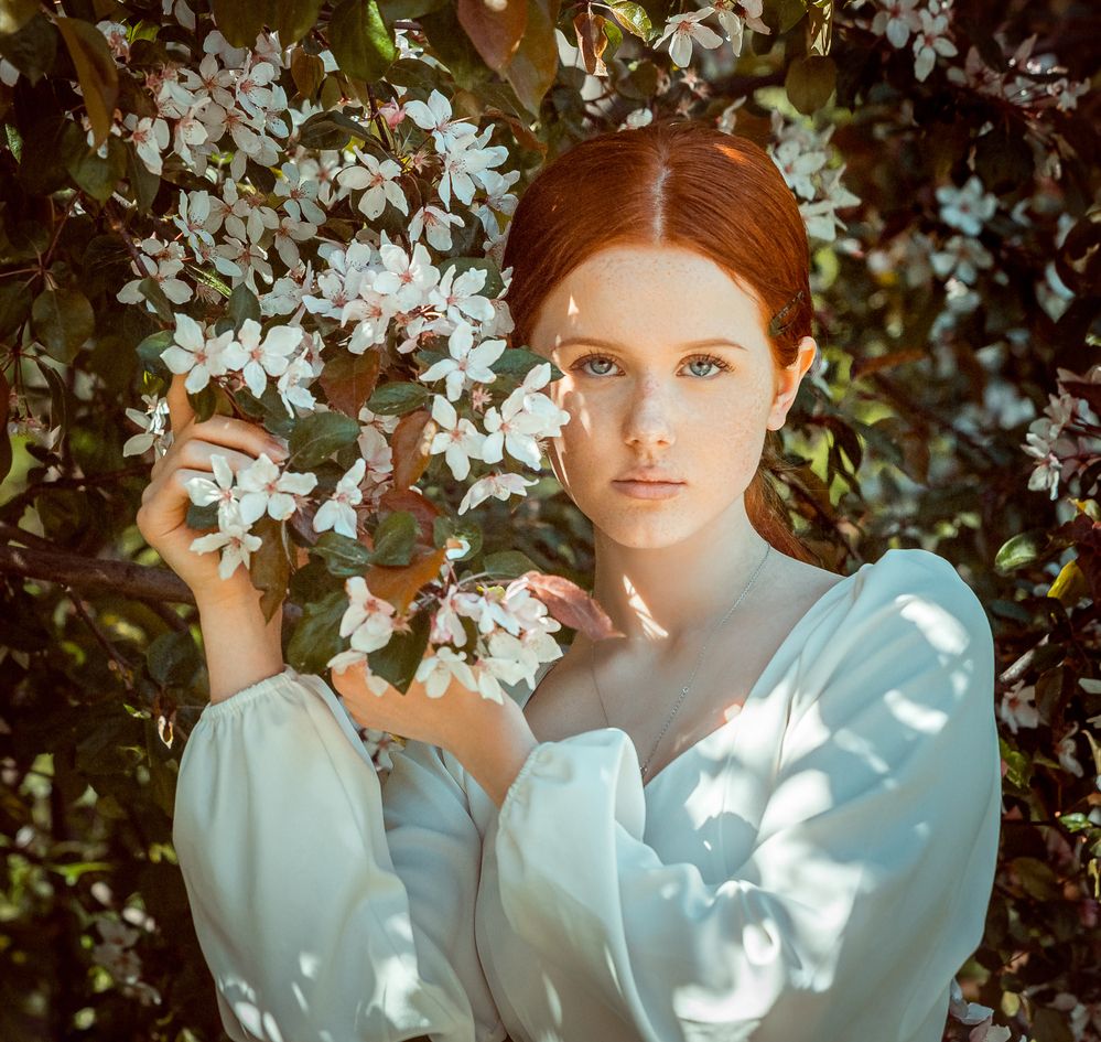 Фотография автора Михаил Бове