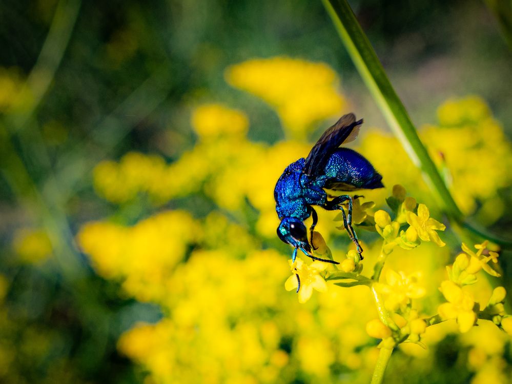 Фотография автора Mutsuaki
