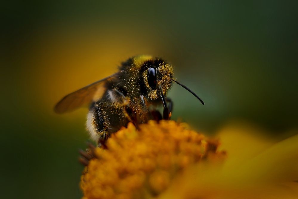 Photograph by Татьяна Бравая