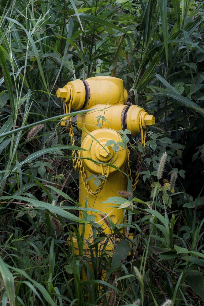 Фотография автора Gerardo Sánchez