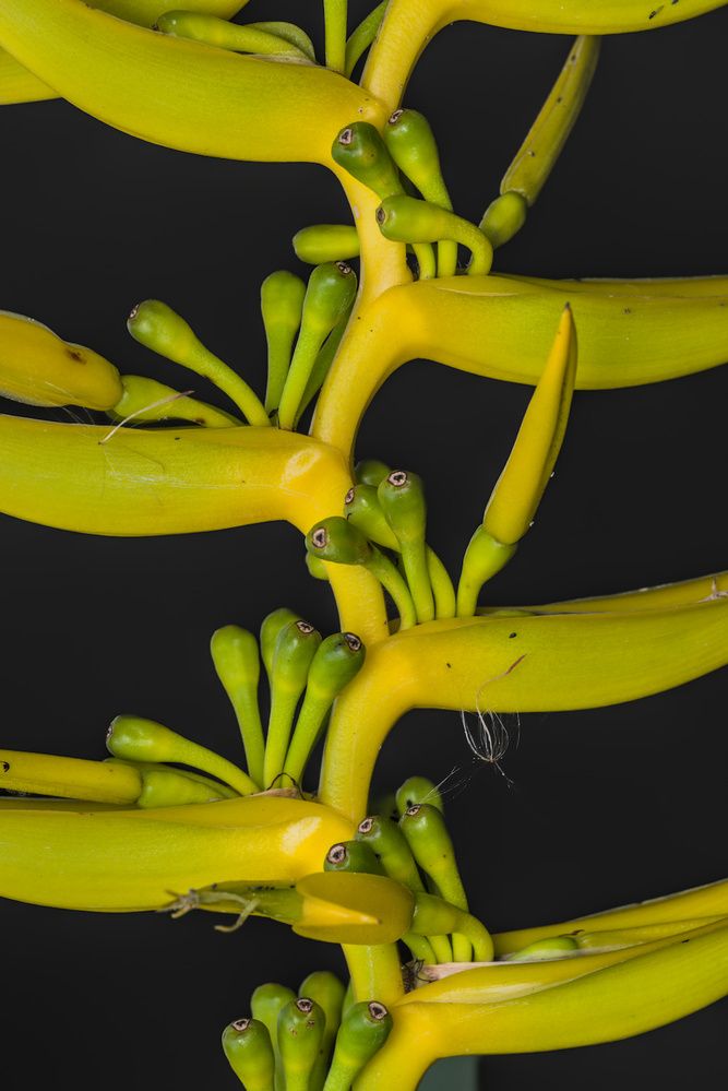 Фотография автора Gerardo Sánchez