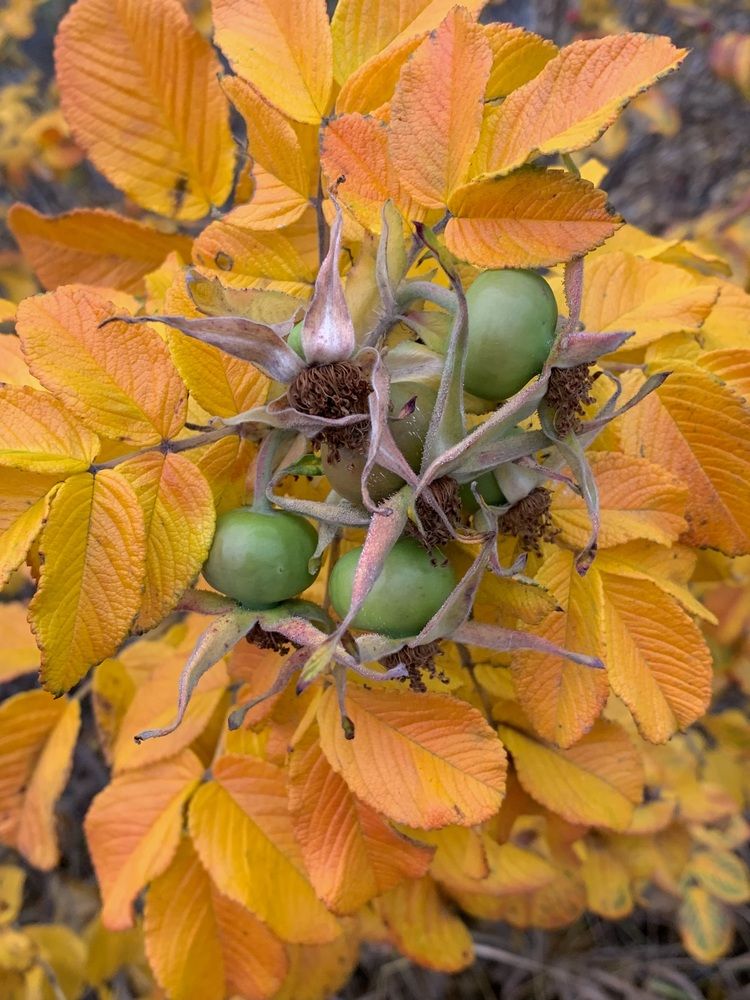 Photograph by Наталья Бирук