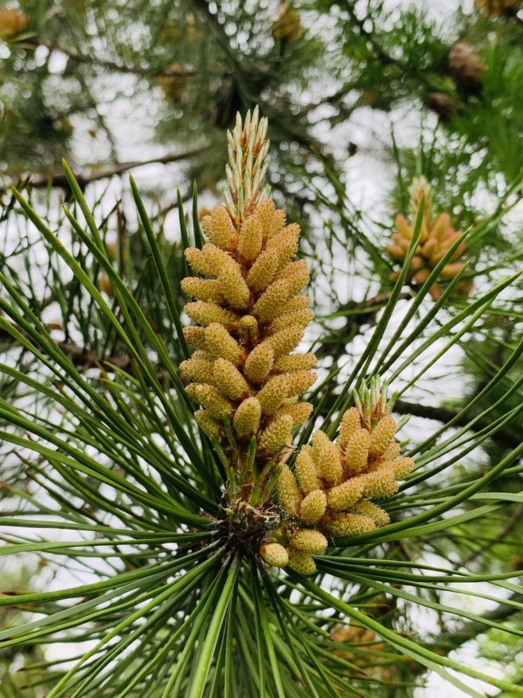 Photograph by Наталья Бирук