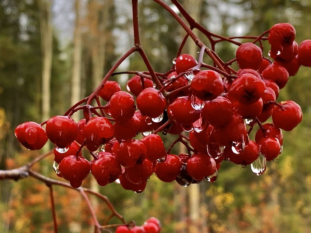 Photograph by Наталья Бирук