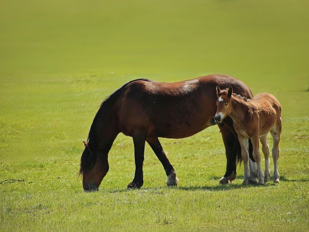 Фотография автора Нина