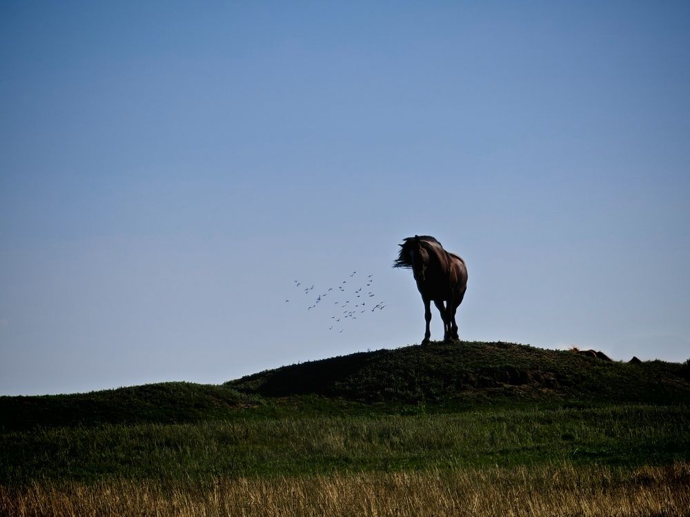 Фотография автора Нина