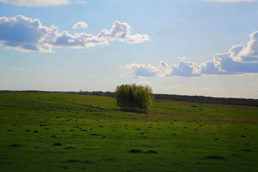 Фотография автора Нина Долгова