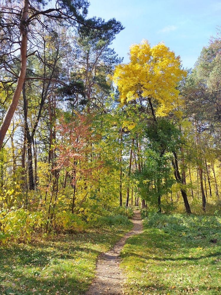 Photograph by Ольга Дружинина