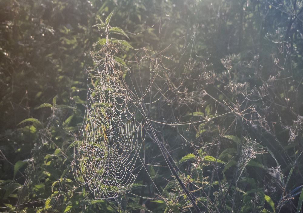 Photograph by Цветков Сергей